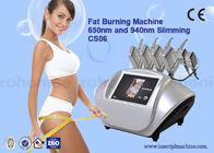 650nm 다이오드 Lipo 레이저 기계/체중 감소를 위한 기계를 체중을 줄이는 lipo 찬 레이저