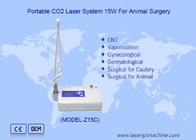 휴대용 Lcd 수의학 Co2 레이저 동물 수술용 Co2 레이저 수술 장치