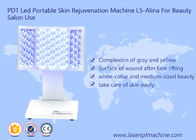 PDT는 아름다움 기계를 위한 휴대용 피부 회춘 기계 L5-Alina를 지도했습니다