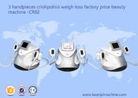 기계 체중 감소 아름다움 장비 CR02를 체중을 줄이는 3 Handpieces Cryolipolysis