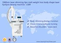 Lipolysis 아름다움 기계를 형성하는 기계 몸을 체중을 줄이는 체중 감소 공동현상 몸