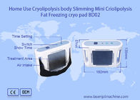 조각 뚱뚱한 손실 장치를 체중을 줄이는 기계 소형 몸을 체중을 줄이는 휴대용 Cryolipolysis