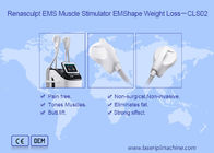 220v 300uS EMS 근육 스티뮬레이터를 가늘게 하는 2.3KVA 몸