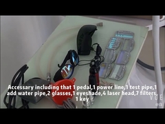 E11C 가지고 다닐 수 있는 2in1은 DPL 모발 제거 야그 레이저 귀영 나팔 제거 기기를 선택합니다