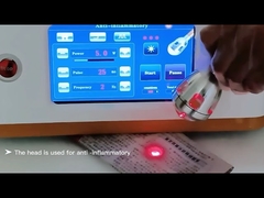 RBS05 진료소 사용 휴대용 980nm 다이오드 레이저 수의학 제거 기계