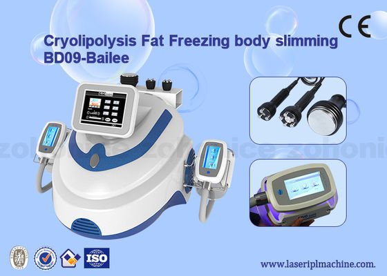 좋은 가격 기계 이중 빈도 공동현상 cryolipolysis 진공 기계를 체중을 줄이는 RF Cryolipolysis 온라인으로