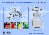저수준 6D 레이저 지방 감소 532nm 녹색 635nm 적색광 치료 콜드 레이저 치료 장치
