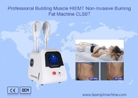 근육 비침략적 연소 살찐 HIEMT 기계를 만들기