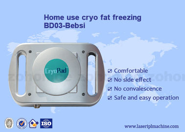 가정 사용 기계를 체중을 줄이는 소형 Cryo 부동액 패드 cryolipolysis 몸