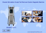 7 테슬라 전자기 RF Ems 근육 자극 신체 조각 기계