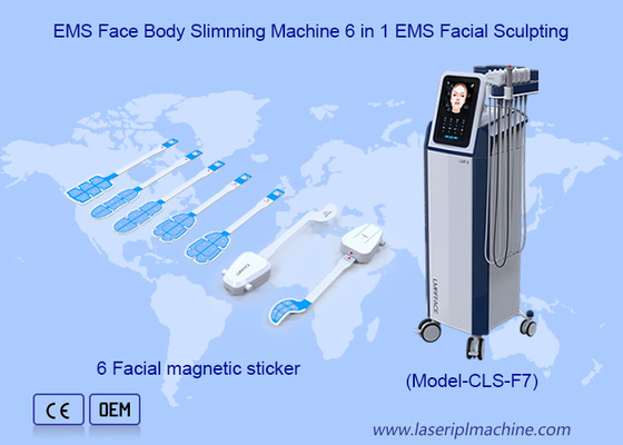 6 in 1 EMS 얼굴 조각 주름 제거 EMRF 얼굴 몸 가늘게 만드는 기계