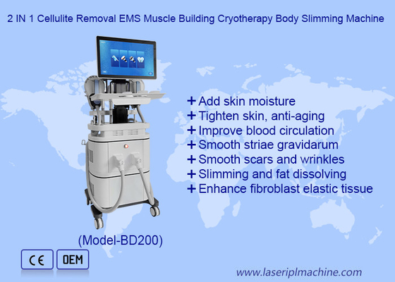 EMS RF 근육 구축 40k Cavitation 360 크라이오 테라피 지방 냉동 기계