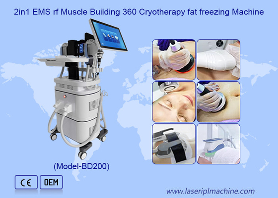 EMS RF 근육 구축 40k Cavitation 360 크라이오 테라피 지방 냉동 기계