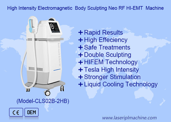 13텔사 전자 근육 자극 체력 가늘기 RF EMS 조각 기계
