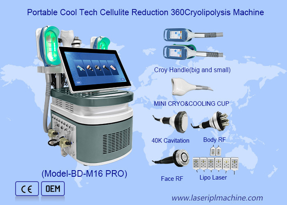 Cryolipolysis 차가운 SlimmingShaping 기계를 조각하는 휴대용 찬 몸