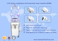 기계, Lipo Cryo Cryolipolysis 아름다움 장비를 체중을 줄여 모양 몸 Cryolipolysis