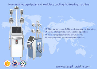 기계 진공 공동현상 Rf 기계를 체중을 줄이는 Cryolipolysis 뚱뚱한 어는 손실