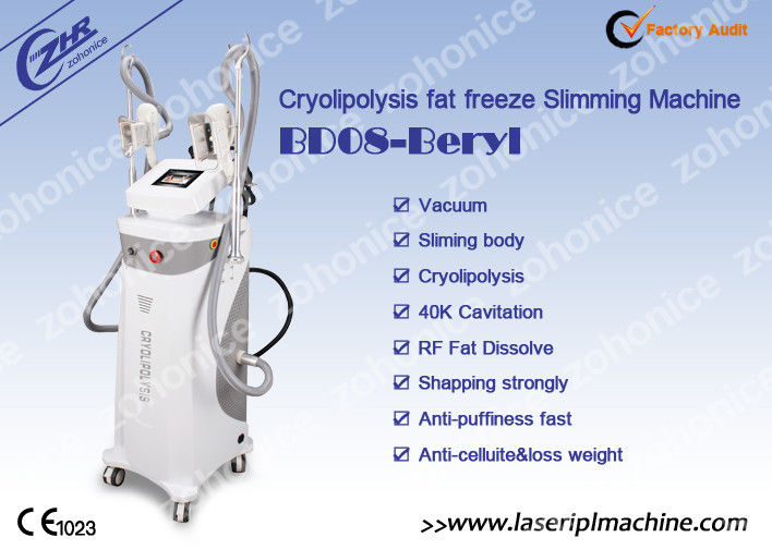 뚱뚱한 얼기를 위한 3개의 손잡이를 가진 기계 122*59*51cm를 체중을 줄이는 1.8 색깔 스크린 수직 40K Cryolipolysis