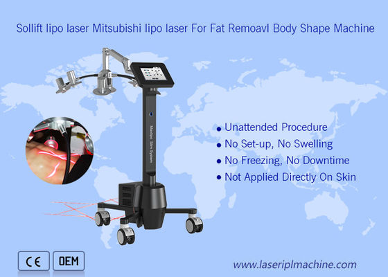 좋은 가격 220v 가지고 다닐 수 있는 크리올리폴리시스 기계 6d 리포라제 제로나 미 온라인으로
