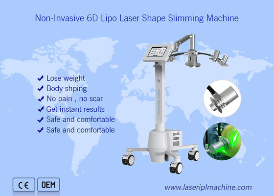 좋은 가격 비침략적 532nm 크리올리폴리시스 슬리밍은 전체 본체 중량 손실량 6d 미를 기계화합니다 온라인으로