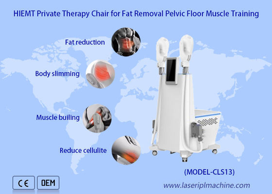 좋은 가격 근육 마사지를 조각하는 체중 감량 Ems 기계를 높이는 2 핸들 벗벅 온라인으로
