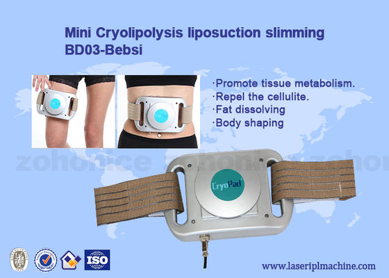 좋은 가격 소형 가정 사용 아름다움 장치 Cryolipolysis 동결 지방은 기계 Cryotherapy 기계를 덧댑니다 온라인으로