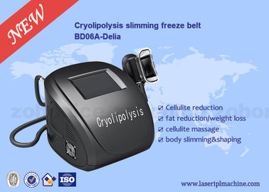 Cryolipolysis 차가운 SlimmingShaping 기계를 조각하는 휴대용 찬 몸