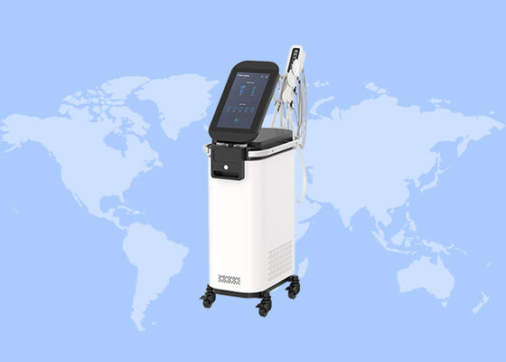 좋은 가격 RET 얼굴 안구 봉지 주름 제거 얼굴 마사지 EMS RF 얼굴 관리 기계 온라인으로