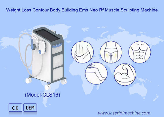좋은 가격 2pcs 작은 손잡이 팔과 다리 Ems 근육 자극기 엉덩이 장비 1-100 Hz 온라인으로