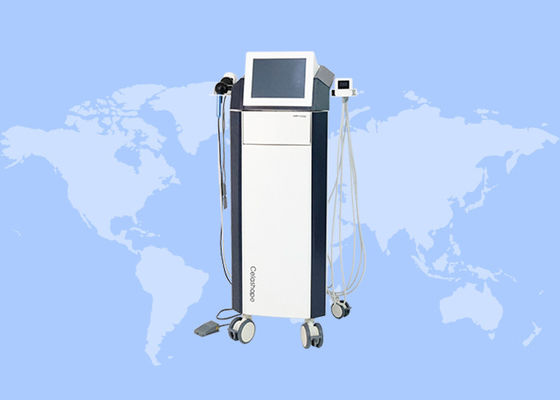 좋은 가격 비침습 RF Trusculpt 얼굴 리프팅 지방 연소 몸 가늘게 만드는 기계 온라인으로