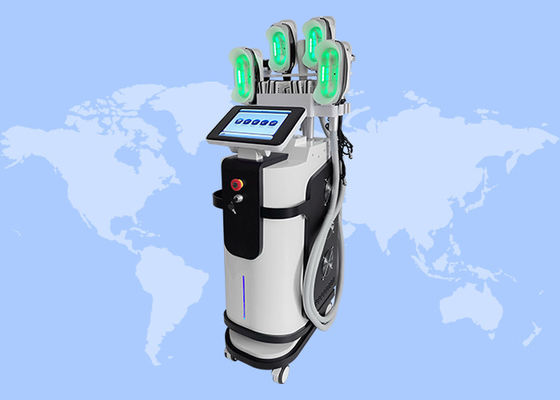 좋은 가격 2000W 360 각 주위 셀룰라이트 감소 체력 가축화 크리오 리포리스 기계 온라인으로