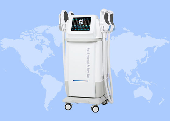 좋은 가격 전자기 근육 자극 몸 조각 체중 감량 네오 RF 에슬린 기계 온라인으로