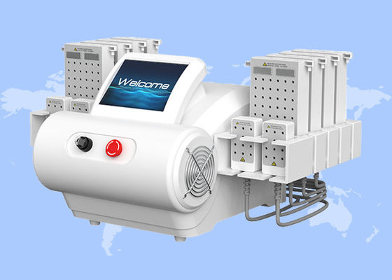좋은 가격 635nm 650nm 940nm 980nm 다이오드 레이저 EMS 플릿 지방 흡입 체육 가늘게 만드는 기계 온라인으로