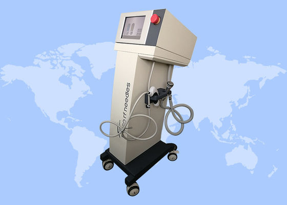 좋은 가격 주름 제거 스트레치 마크 제거 노화 방지 마이크로네일링 분자 RF 기계 온라인으로