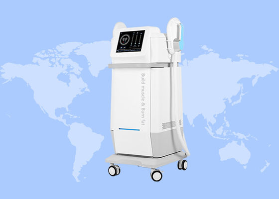 좋은 가격 2 핸들 13테슬라 골반 바닥 운동 몸 조각 5000W Ems 기계 온라인으로