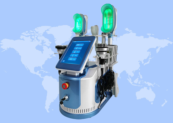 미장원을 위한 기계를 체중을 줄이는 Cryolipolysis 다기능 냉각 몸