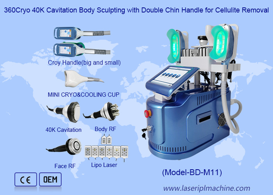 몸/피부를 위한 기계를 형성 체중을 줄이는 효과적인 650nm Cryolipolysis는 바짝 죕니다