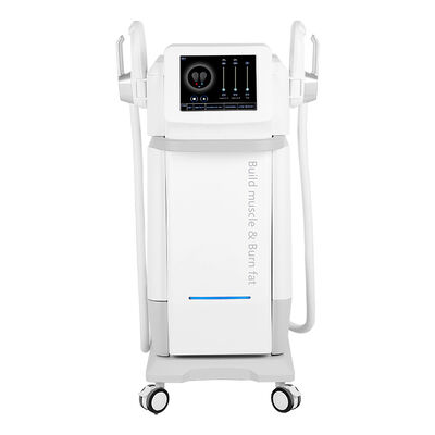 좋은 가격 2 핸들 고전력 근육을 만드는 지방 연소 HIFEM 조각 기계 온라인으로