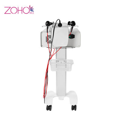 좋은 가격 피부 회춘 220v Rf 아름다움 기계 RET CET를 형성하는 뚱뚱한 칼 몸 온라인으로