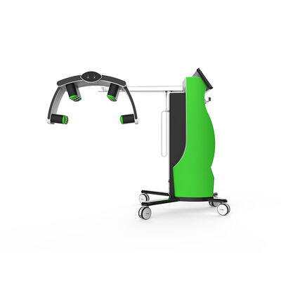 좋은 가격 532nm 635nm 찬 레이저 체중 감소 기계 10d Maxlipo 주인 온라인으로