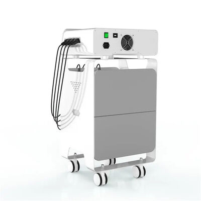 좋은 가격 Ems 무선 주파수 에스위트 장비 요통 구호 의료 서비스 온라인으로