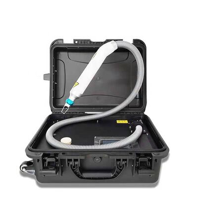 좋은 가격 트롤리 케이스 1064nm 532nm 1320nm Q 스위치 Nd Yag 레이저 문신 제거 기계 온라인으로