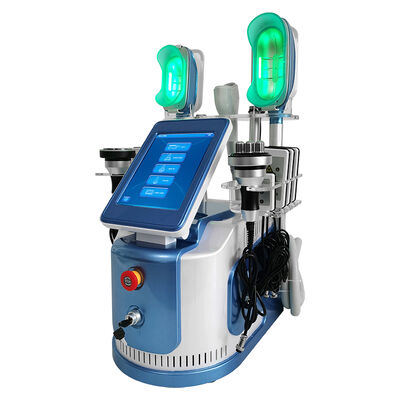 좋은 가격 650nm - 몸/피부 Tigtening를 위한 기계를 형성 체중을 줄이는 550nm Cryolipolysis 온라인으로