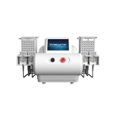 좋은 가격 635nm 650nm 940nm 980nm 다이오드 레이저 EMS 플릿 지방 흡입 체육 가늘게 만드는 기계 온라인으로