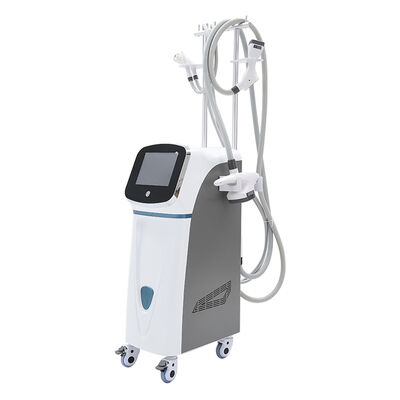 좋은 가격 5in1 주름 제거 얼굴 리프트 배 지방 제거 베라 모양 기계 온라인으로