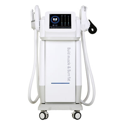 좋은 가격 13테슬라 전자 근육 자극 지방 연소 신체 조각 기계 온라인으로