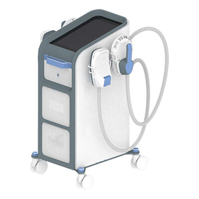 좋은 가격 EMS 전자 근육 자극 기계와 함께 지방 연소 및 운송 서비스 온라인으로