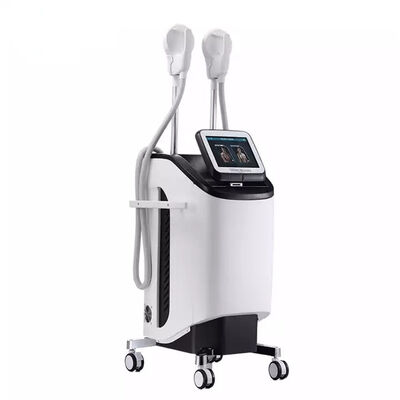 좋은 가격 220v 300uS EMS 근육 스티뮬레이터를 가늘게 하는 2.3KVA 몸 온라인으로