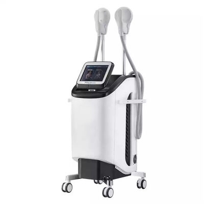 2.3KVA 220v 전자기 공동화 몸 슬리밍 기계