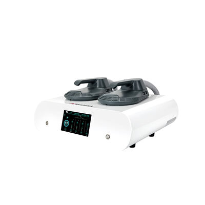 좋은 가격 엠스 근육을 키우기 체력 절감 가정용 미니 Hi-EMT RF 체중 감량 기계 온라인으로